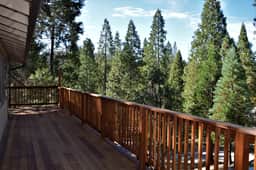 (11B) Sequoia House - Image 5