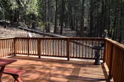 (11B) Sequoia House - Image 4