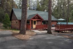 (37) Wapiti - Image 4