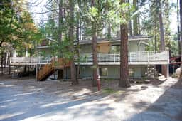 (48R) The Tree House II - Image 2