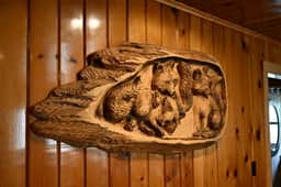 (66) Grizzly Giant - Image 5
