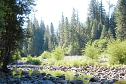 Yosemite's Riverfront Retreat - Image 5