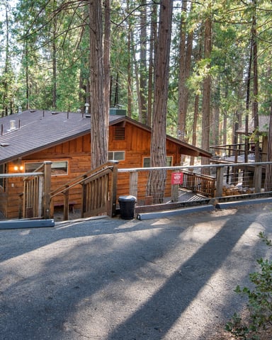 Wooden cabin with metal roof nestled among tall redwood trees, gravel driveway with metal railings