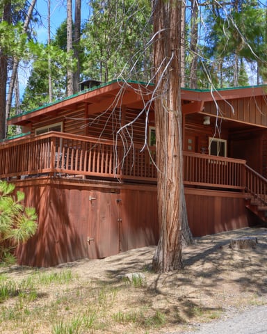 Rustic wood cabin with green metal roof and wraparound deck nestled among tall pine trees