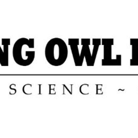 Hooting Owl