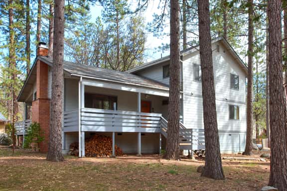 (1) Cabin Among the Firs - Image 1