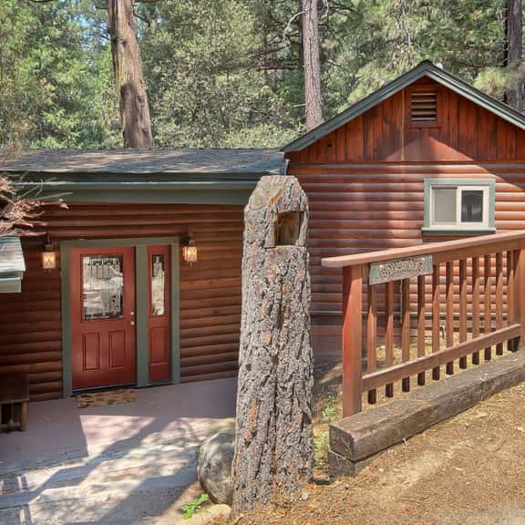 (1L) The Tree House - Image 1