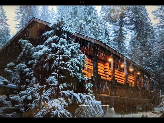 (38) The Mini Cabin - Image 2
