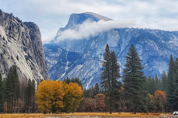 Half Dome rising above Yosemite Valley in autumn, with golden aspens and El Capitan wall to the left