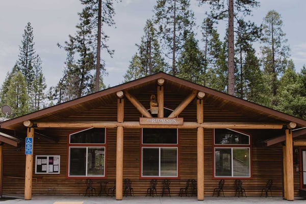 The Redwoods in Yosemite office building, a wide log-and-timber lodge with covered porch and pine trees behind
