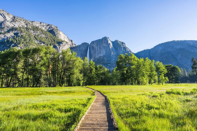 Naturalist Walks With Yosemite Conservancy