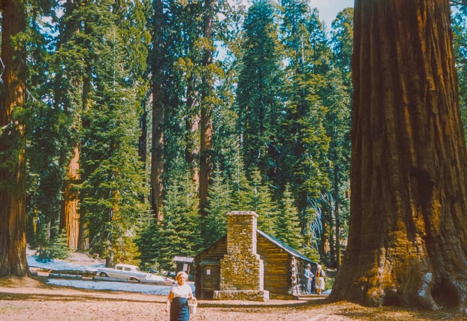 National Park Service Marks 96th Year