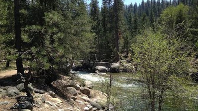 The Swinging Bridge Trail