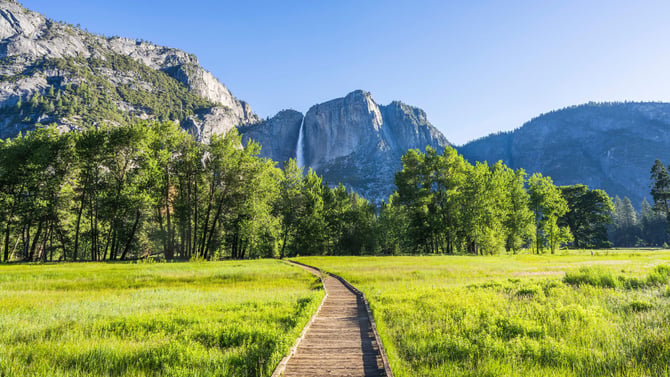 Naturalist Walks With Yosemite Conservancy