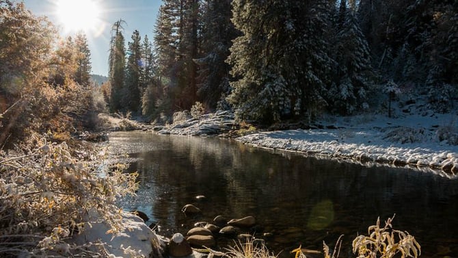 Yosemite Chain Controls: What You Need to Know About Winter Driving & Chain Requirements