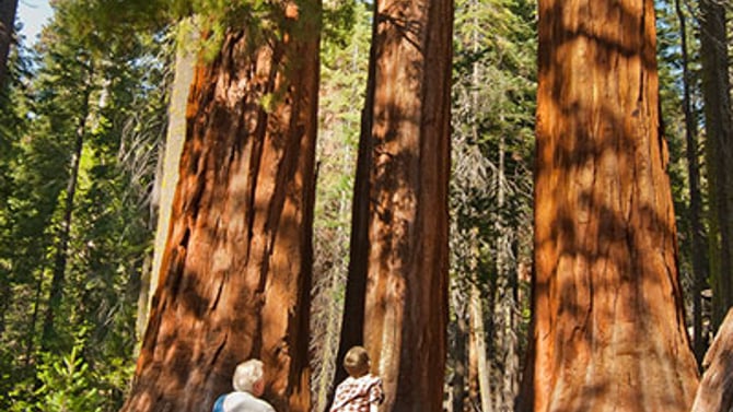 Visiting Yosemite with Kids: Travel Tips and Ideas for Things to Do with Kids in Yosemite