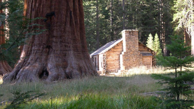 Mariposa Grove of Giant Sequoias Restoration Project Underway