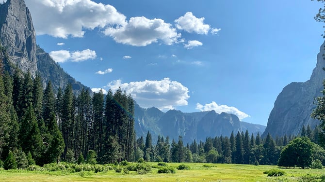 Visiting Yosemite in June: The Ultimate Insider's Guide