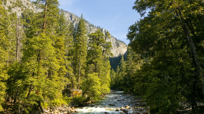 A Letter From Don Neubacher, YNP Superintendent