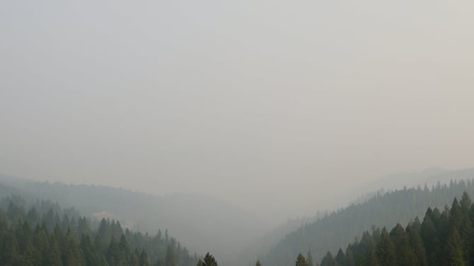 Reopening for Business and Mariposa Oak Fire Victims Help