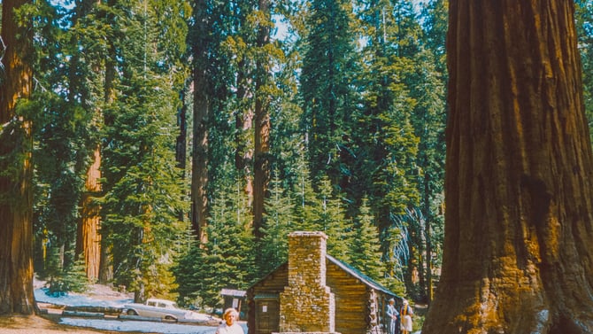 National Park Service Marks 96th Year