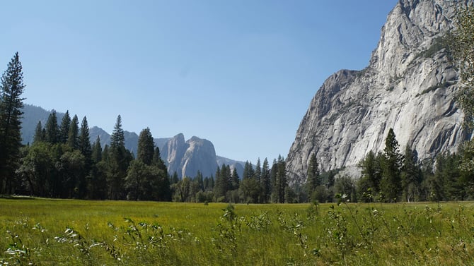 April Flowers, Yosemite Waterfalls, and a Free Night Too!
