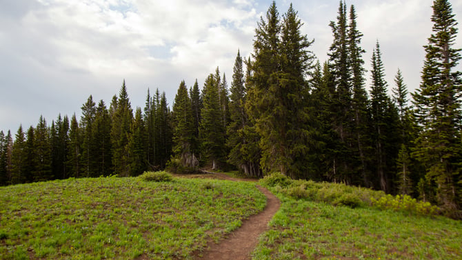 Free Ranger Walks/Talks Start June