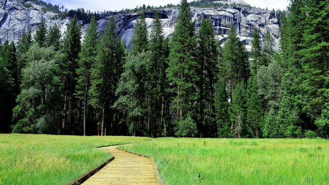 This Week in the Park