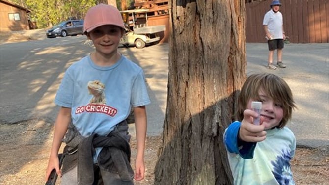 Treasure Hunt in Wawona: Geocaching Adventures