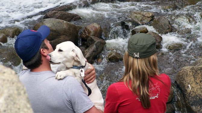 Dogs in Yosemite: A Complete Guide