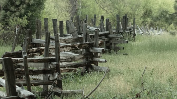 5 Reasons to Stay in Wawona during your Yosemite Visit