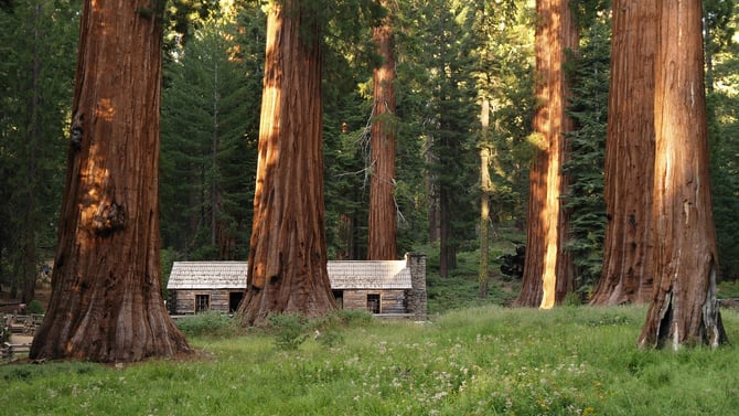 Happy Birthday Yosemite National Park