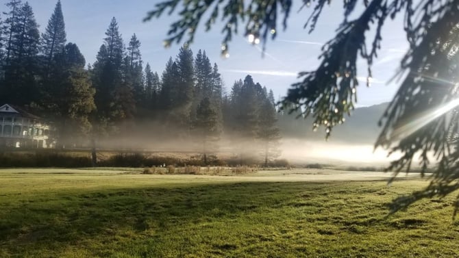 Activities in Wawona