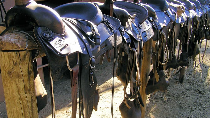 Horseback Riding