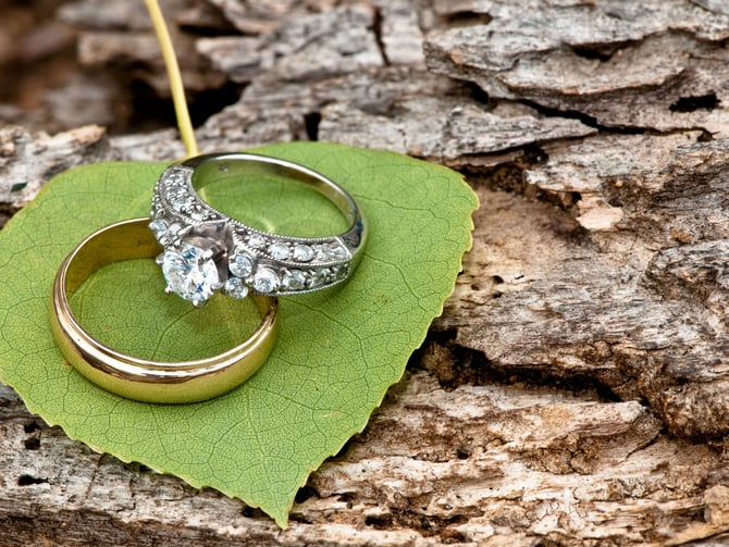 Redwoods wedding