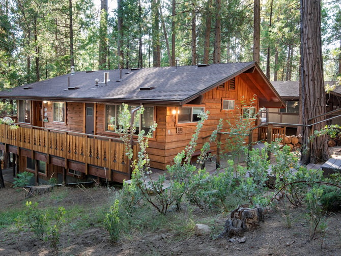 Wood cabin with dark roof nestled among tall pine trees, featuring a wraparound deck and native plants in foreground
