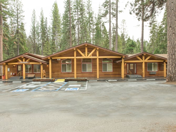 Log cabin lodge with large timber beams and multiple sections surrounded by tall pine forest